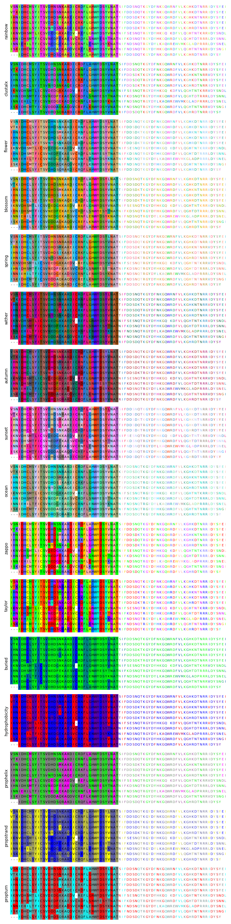 color schemes protein