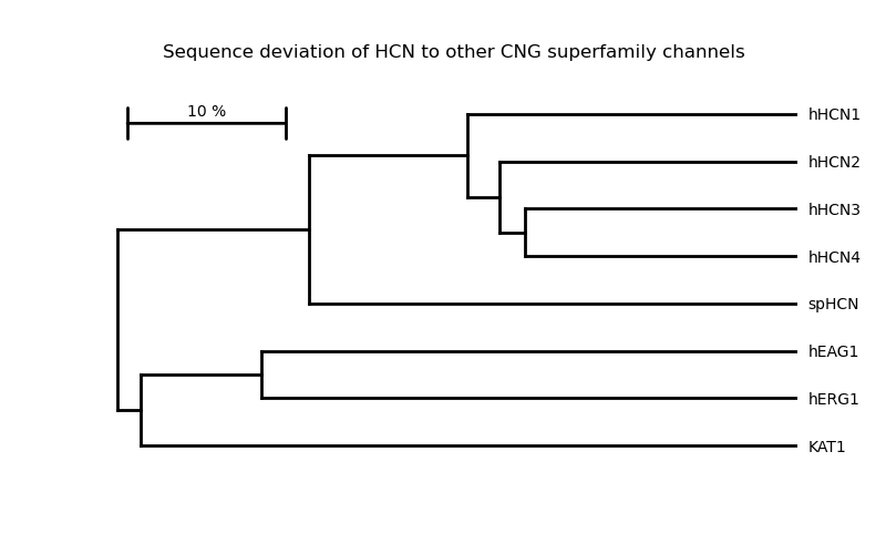 Sequence deviation of HCN to other CNG superfamily channels