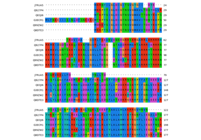 Multiple sequence alignment of Cas9 homologs