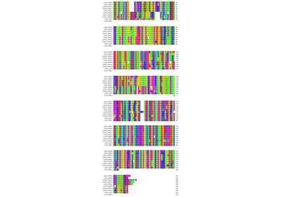 Sequence comparison of bacterial luciferases