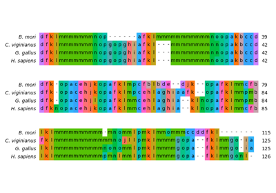 Structural alignment of lysozyme variants using 'Protein Blocks'