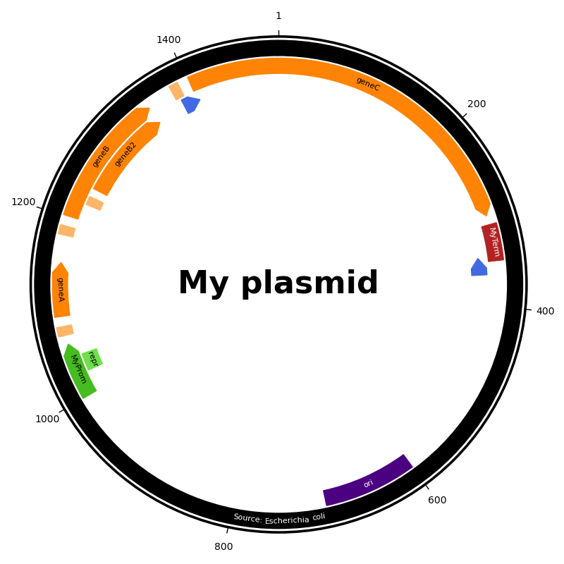 plasmid map custom