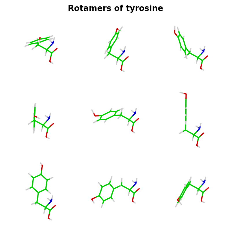 Rotamers of tyrosine