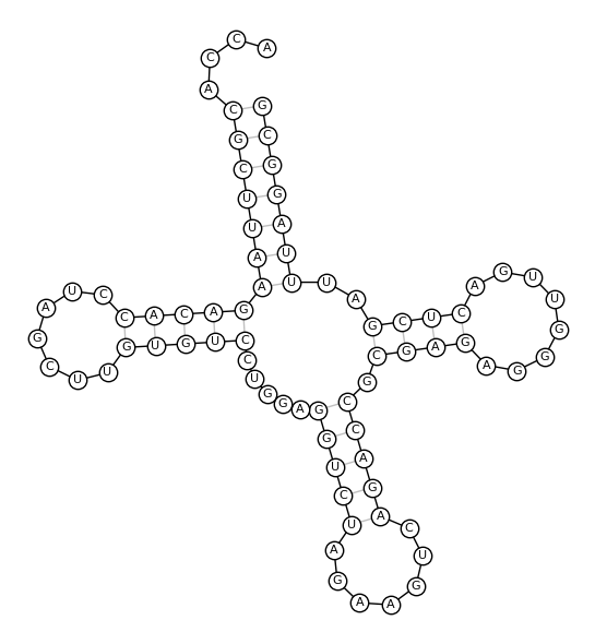 ../../_images/viennarna_5_0.png